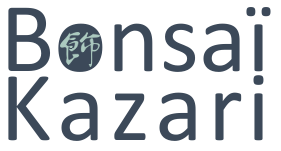 Bonsai kazari 4