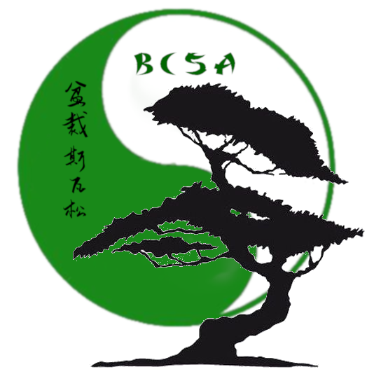 BCSA